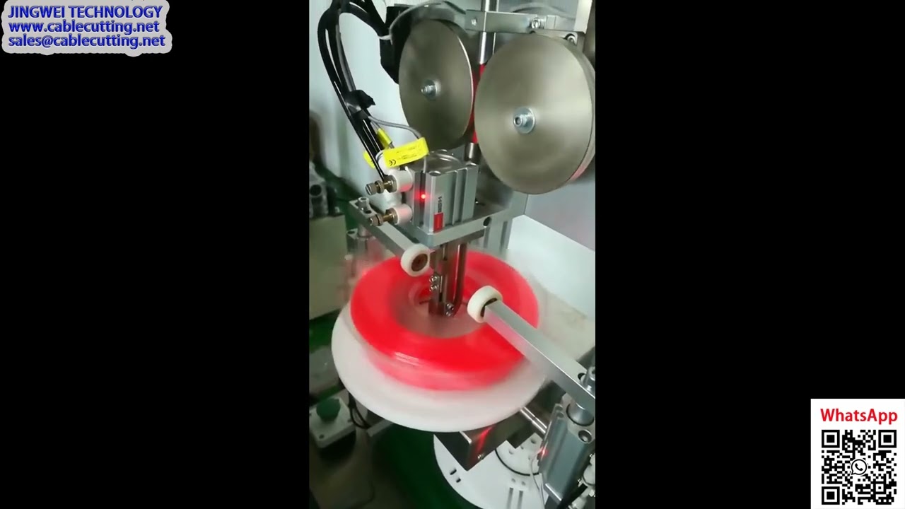 Máquina de Empaque Blíster Vertical para Carretes a Granel