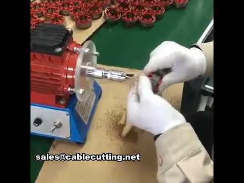 Máquina removedora de esmalte de cobre y peladora de cables WPM-02A | Alta precisión
