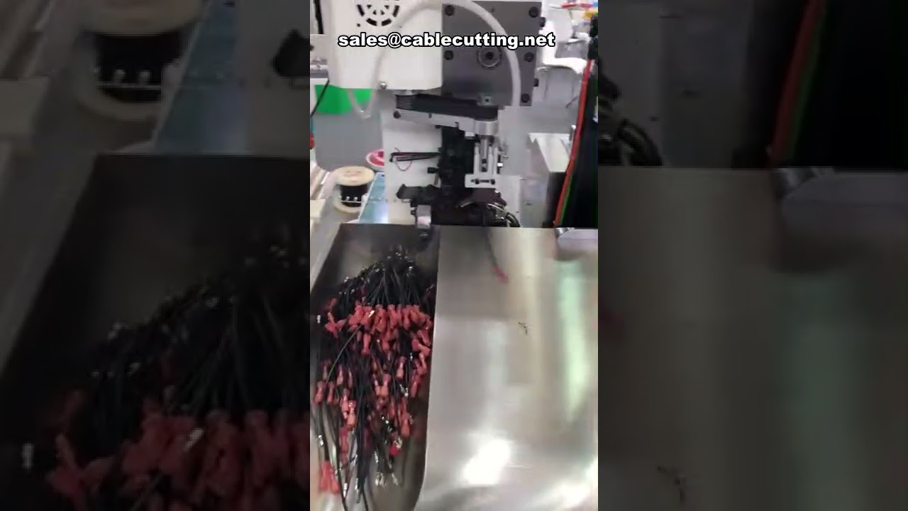 Máquina crimpadora de terminales tipo férula - Precio de fábrica con video demostrativo