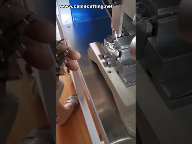 Máquina semiautomática de crimpado para clavijas de 2 pines tipo EU