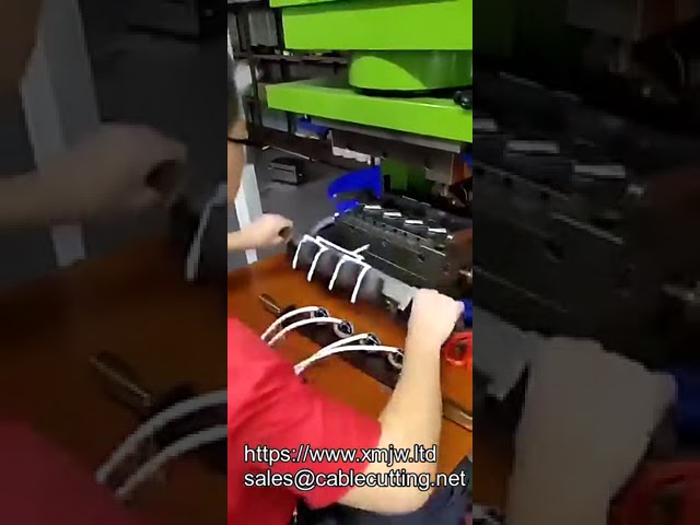 Máquina de Moldeo por Inyección Horizontal con Sujeción Vertical para Enchufes AC/DC y Componentes Electrónicos