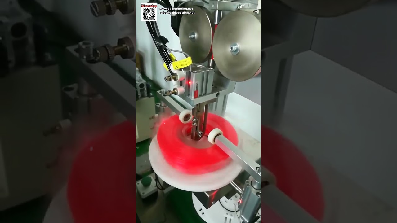 Máquina Envasadora Vertical Automática para Bobinas de Blister - Línea de Producción