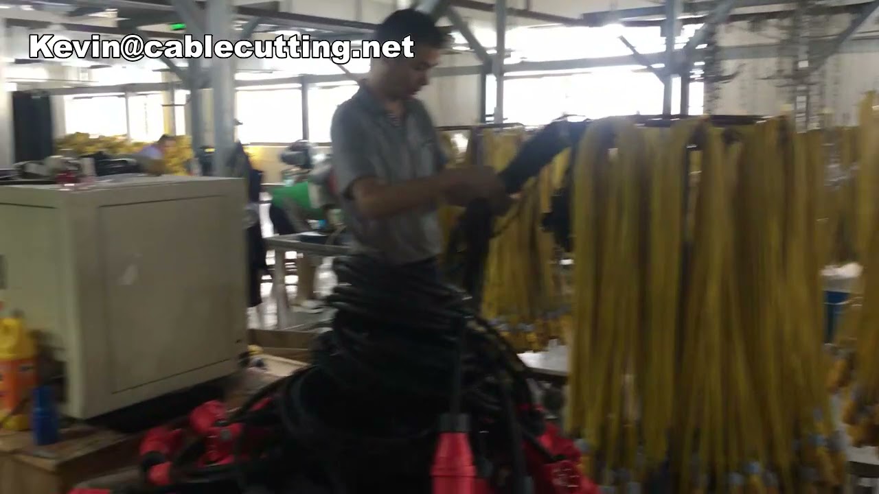 Enchufe 13A con inserto RoHS para Malasia y Singapur | Clavija de 3 pines y 2 pines