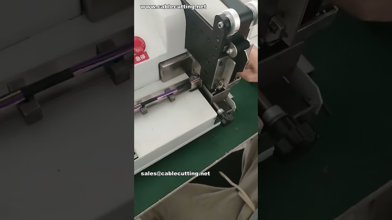 Máquina Automatizada con Cinta de PVC de 30 mm en Taller de Fábrica