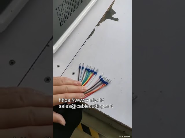 Máquina Automática de Pelado y Engarzado de Férulas | Eficiencia en Terminación de Cables