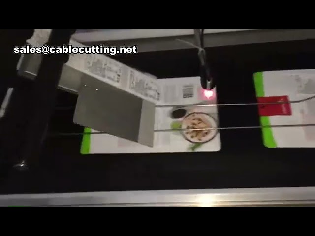 Máquina Etiquetadora Automática para Bolsas Planas y de Plástico | Etiquetado de Alta Velocidad