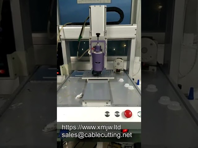 Automatic Bench-Top Desktop 3-Axis PLC Programmable High-Speed Speaker Glue Dispenser