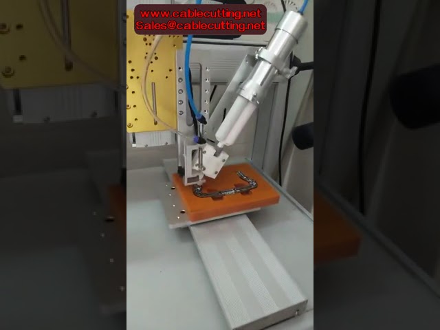 Robot dosificador de resina epoxi de dos componentes 50ml AB-11-21 | Dispensación automática precisa