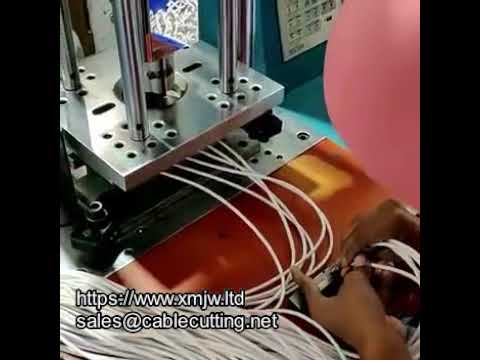 Máquina de Moldeo por Inyección Estándar WPM 150 – Alta Precisión y Rendimiento